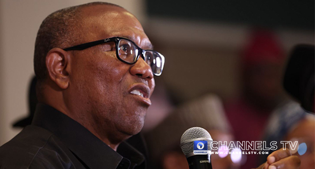 Nenadi-Usman-Led LP Endorses Peter Obi’s Participation In Coalition Talks