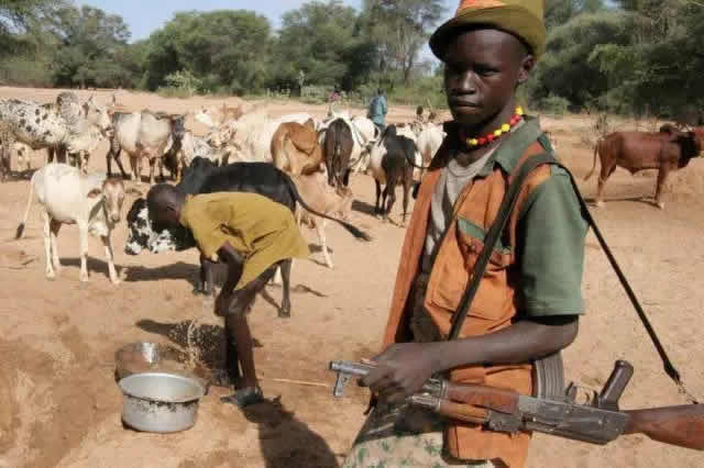 61 killed in fresh herdsmen attacks, communal crisis in Benue