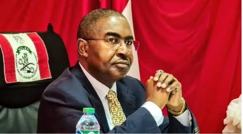 Tinubu reappoints Mohammed Marwa as NDLEA Chairman