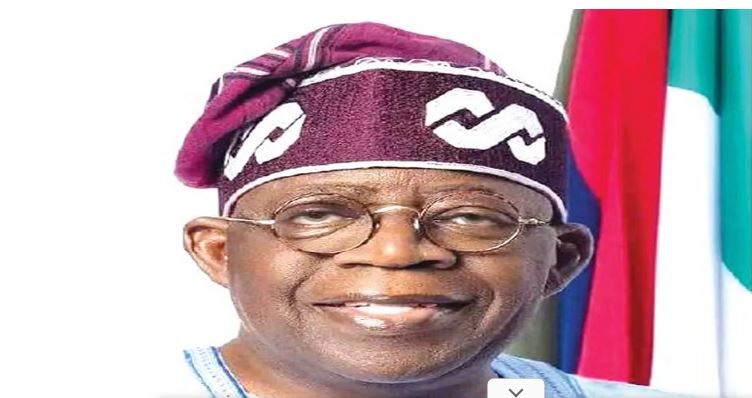 Insecurity: Tinubu pledges state police to US, European allies