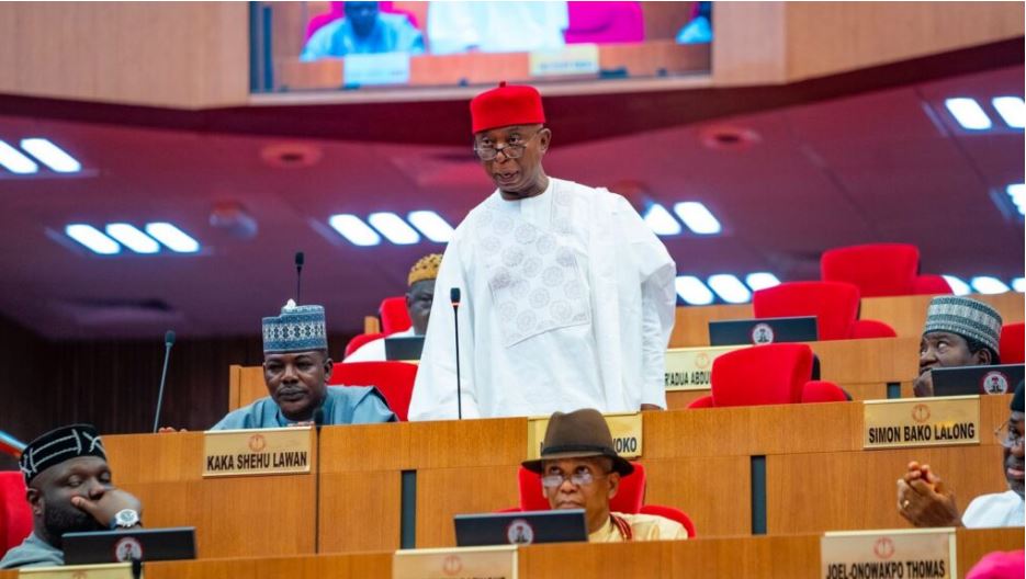 Ned Nwoko renews push for social media bill as TikToker claims he ‘paid to kill Regina Daniels’