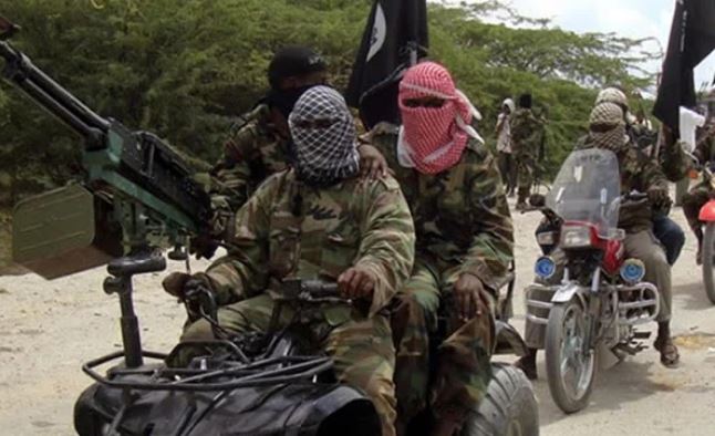 Borno: Hundreds still missing after Boko Haram attack