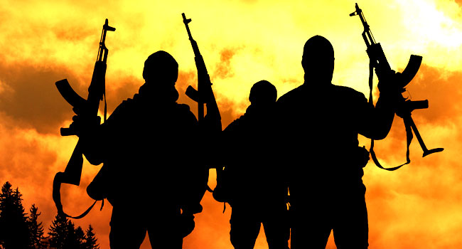 N6bn ransom demand for Borno, Kaduna victims sparks security fears