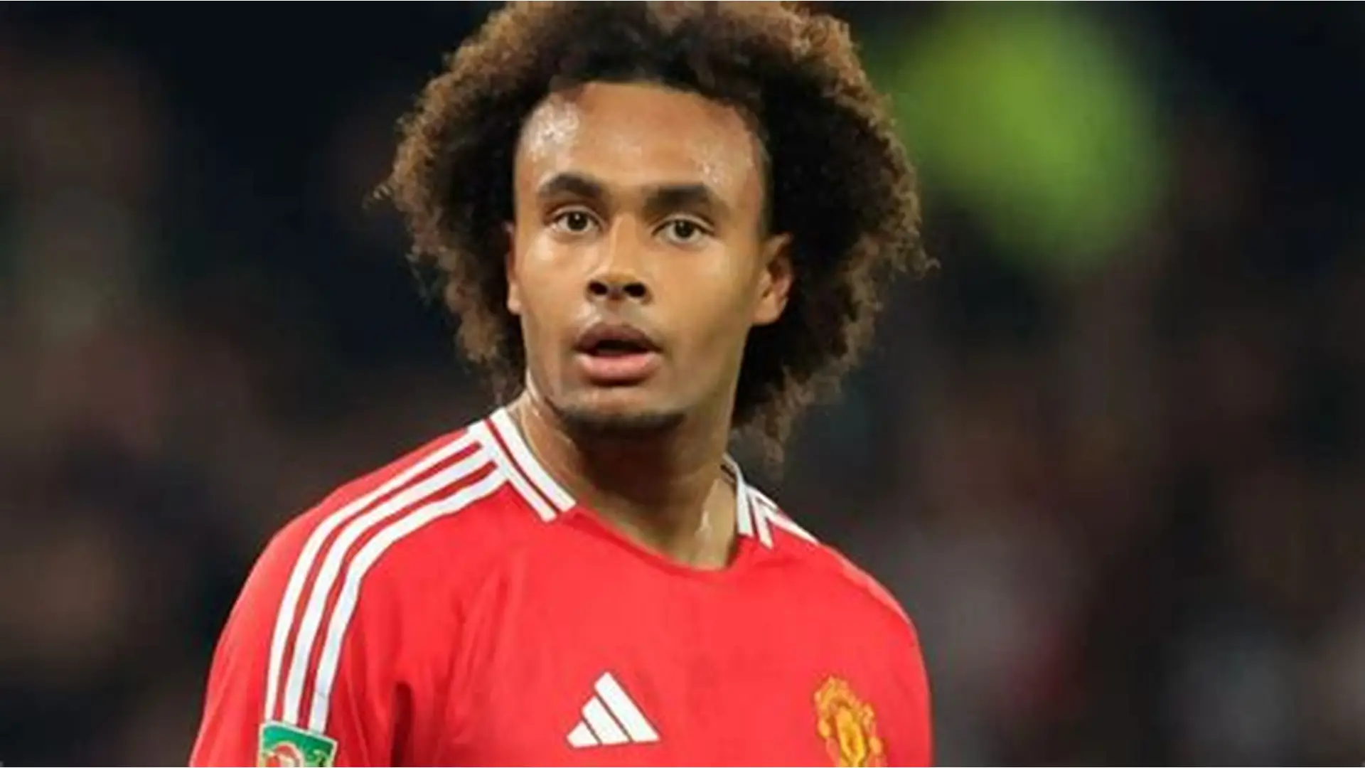 Joshua Zirkzee Biography and Profile