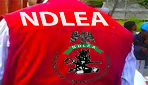 NDLEA arrests Nigeria-Mexico drug syndicate, seizes N480bn drugs in Ogun