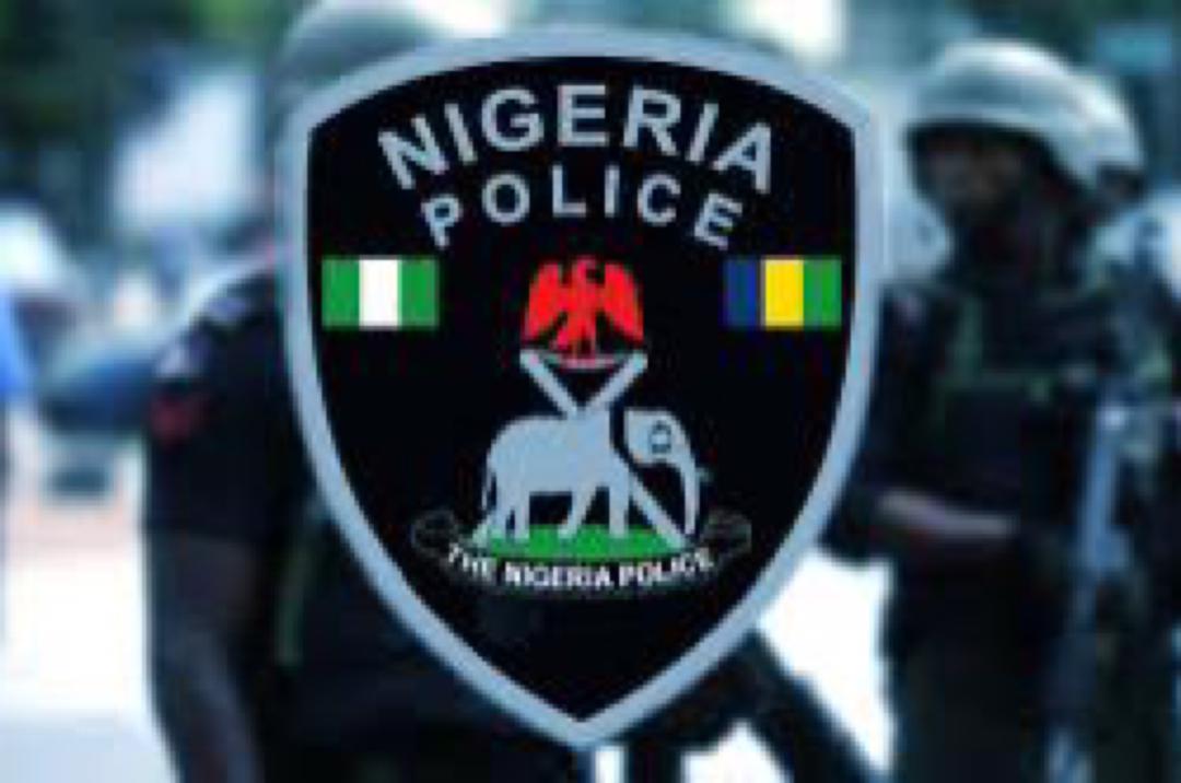 State Police Bill Passes House as Lone Lawmaker, Bashir Usman, Votes Against Proposal State Police Bill Passes House as Lone Lawmaker, Bashir Usman, Votes Against Proposal