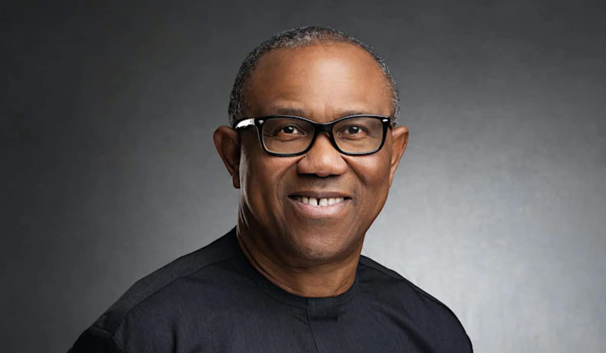 I ran from PDP, LP, ADC to NDC to avoid fire; love party where everything is set: Obi