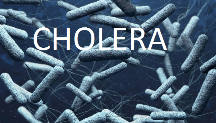 Cholera claims 198 lives, as 35,000 cases recorded in Borno-official says