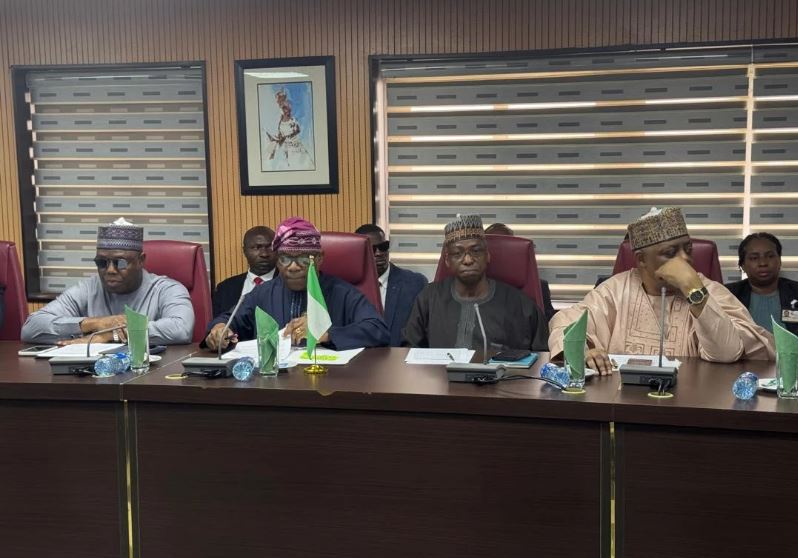 Xenophobia: Minister meets S’African envoy after Tinubu snub