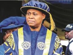 VIDEO: I had no doubt Gov Adeleke would win, says brother Dr. Deji