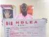 NDLEA nabs alleged cocaine baron fleeing to Paris
