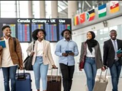 Best Nigerian Investment for Nigerians Abroad