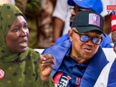 2027 Election Easier For Peter Obi Than 2023 — Aisha Yesufu