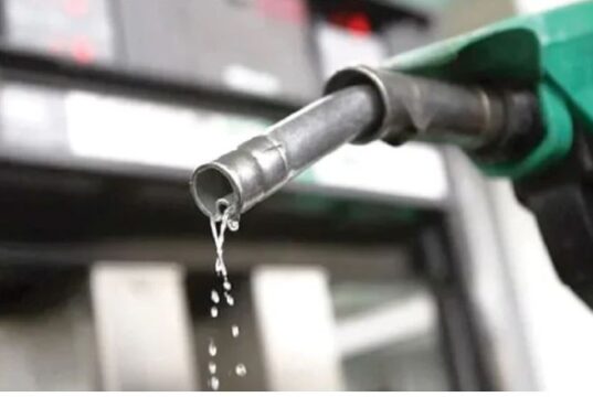 Refinery owners urge FG to curb fuel imports, back local refineries