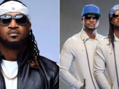 Being solo artist less stressful for me than P-Square – Paul Okoye