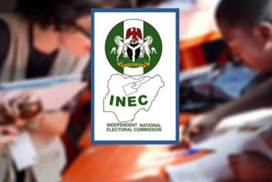 2027 election: Missing names, party disputes cloud INEC list