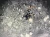 Military air strikes kill ‘103 ISWAP terrorists’ in Borno, Adamawa