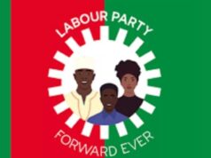 Labour Party youth leaders propose backing Tinubu for 2027