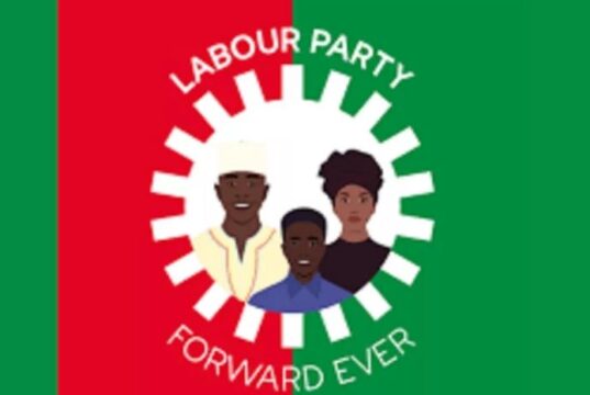 Labour Party youth leaders propose backing Tinubu for 2027