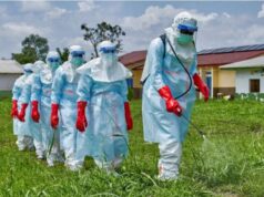 Ebola fears: FG, states on alert as infected diplomat suffers organ failure