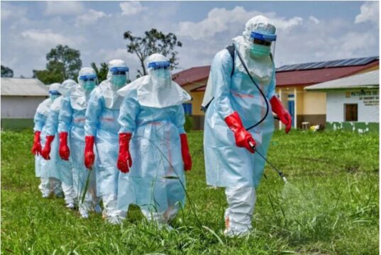 Ebola fears: FG, states on alert as infected diplomat suffers organ failure